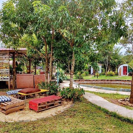 The Bear Bungalow Kampot Exterior foto